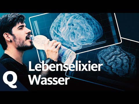 Wasser: Lebenswichtig für den Menschen | Quarks