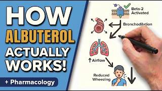 Albuterol in 11 Minutes: Mechanism, Dosing, Side Effects & Clinical Pearls