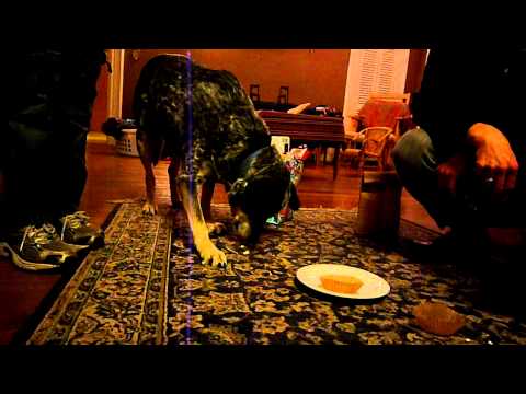 Azul's 10th Birthday