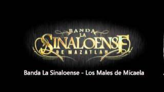 Video thumbnail of "Banda La Sinaloense - Los Males de Micaela"