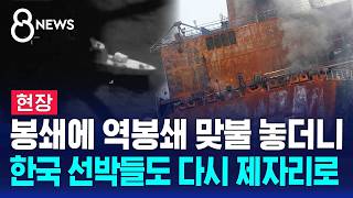[현장] 이란이 선박 3척 나포..한국 선박들 다시 이동 / SBS 8뉴스