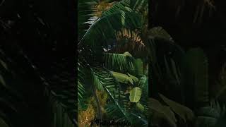 Download lagu berat di darat_ringan di laut❗ tank amfibi MARINIR 🇲🇨 #tniindonesia #marinir mp3