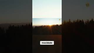 A Herança e a Força da Juventude