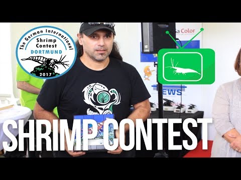 The German International Shrimp Contest – Dortmund (TGISC)  | GarnelenTv