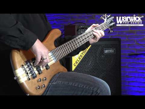 The German Pro Series Teambuilt- The Streamer Stage I - product demo with Andy Irvine