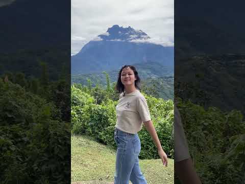 What's fun in Kundasang? 🌲 😀 #kundasang #kinabalupark #sabah