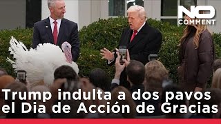 Trump indulta a los pavos Waddle y Gobble en el Día de Acción de Gracias