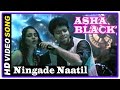 Asha Black Movie Songs HD | Ningade Naatil Song | Jessin George | Anna Kuruvilla