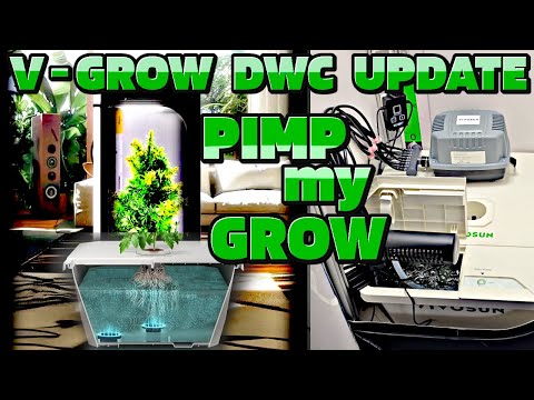 🍁 Mein erstes Mal ohne Erde 🍁 V-Grow DWC Hydro Anbau automatisiert, PH Controller, Heizstab, Kühler