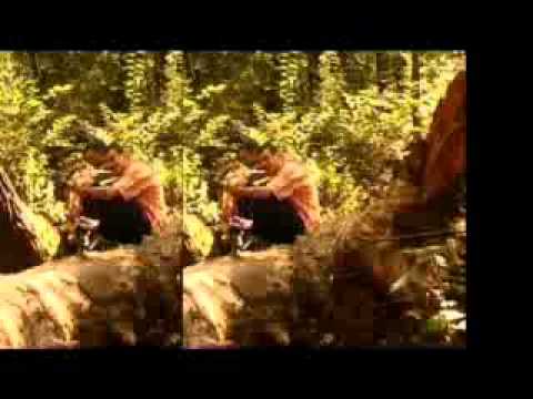 STARTERAs - Патриоти За България