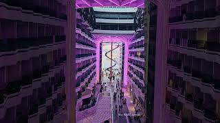 Easy to love Msc World Europa ♥️  #easytolove #mscworldeuropa