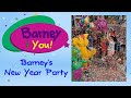 Barney You Season 1 Episode 9 Barney S New Year Party