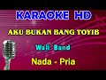 AKU BUKAN BANG TOYIB Wali Band KARAOKE Nada Pria HD