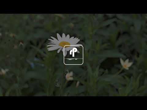 reggae hip hop beat instrumental 2019