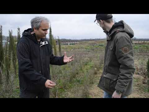 Wintergemüse Anbau in der Gartenoase mit Sascha und Felix