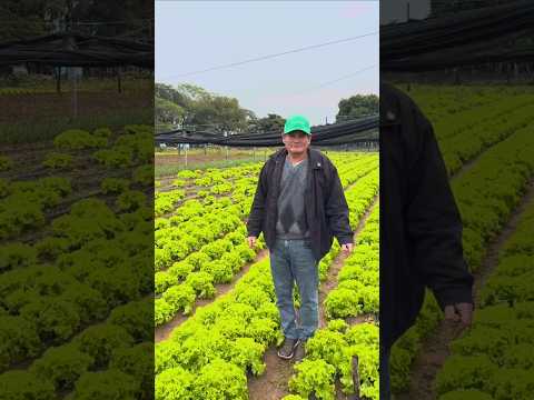 Don José Noel Chávez, comparte una historia de esfuerzo, constancia y crecimiento en el campo. 🌱