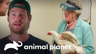 Thumbnail del capítulo