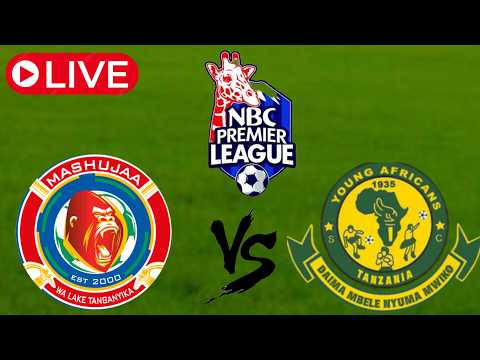 🚨LIVE :  FT  MASHUJAA 0- 1 YANGA SC YANGA WANAJIKITA KILELENI KWA POINTS 5