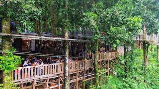 Download lagu Cafe Ngopi Dalam HUTAN Forest Kopi Wisata Alam Kem... mp3