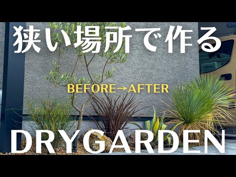 庭に最適な針葉樹5本 トピックス