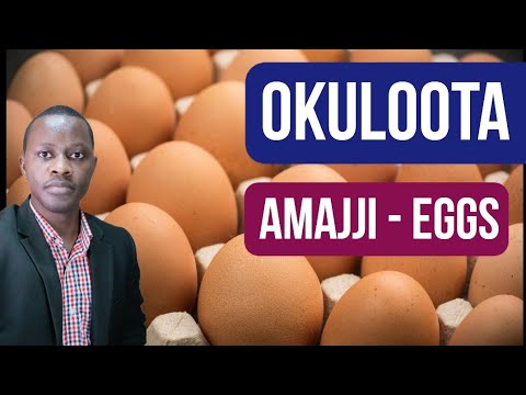 Okuloota amajji (Eggs) kitegezaki By Brother Steven