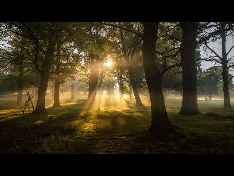 Solar Sound - Sunrise Mix  (Author Mix)