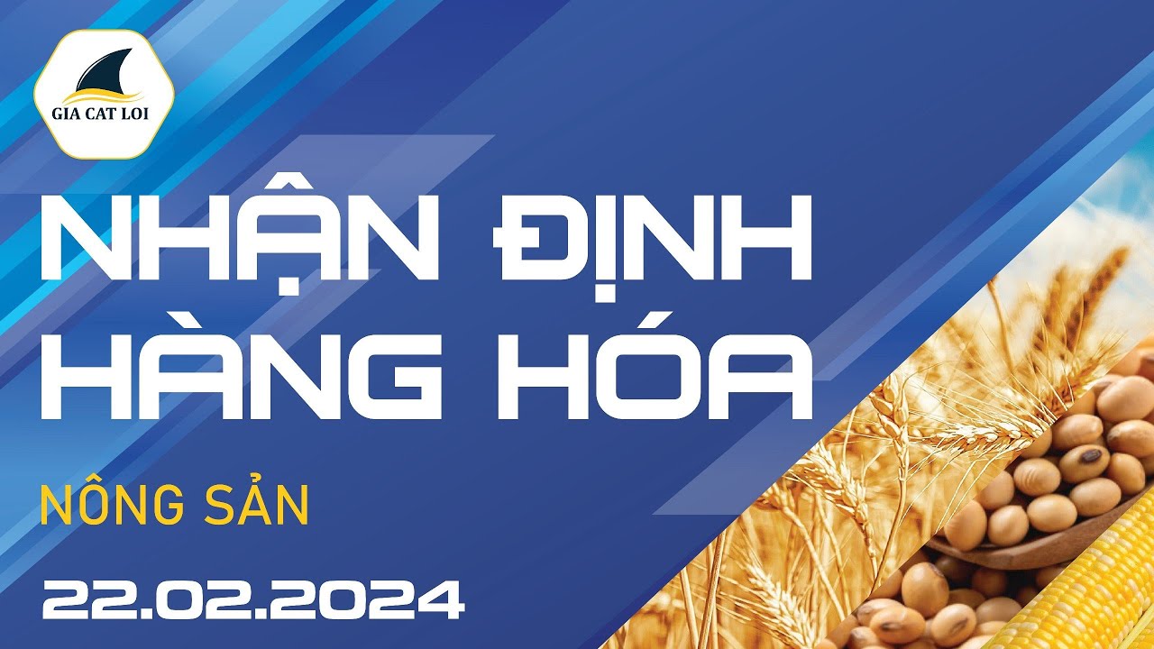 Nhận Định Hàng Hoá Nông Sản Ngày 22/02/2024