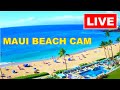 🐳  LIVE 24/7  🌴  4K MAUI LIVE CAM!  Kaanapali Beach CAM, Maui | www.WhalerCondo.net