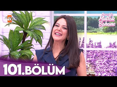 Nursel ile Mutfak Bahane | 1 Aralık 2025 Pazartesi - 5. Sezon