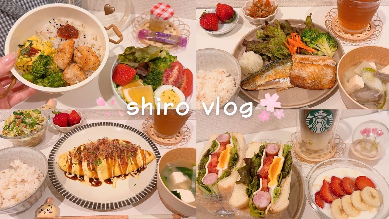 【節約】新生活お弁当始まり🌸一人暮らし社会人の節約を楽しむ自炊記録👩‍🦰⌇春キャベツレシピ🥬