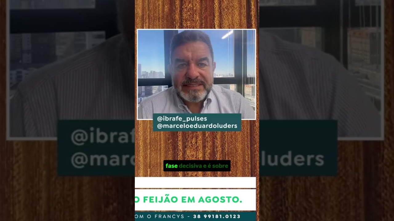 Três sinais que vão definir o preço do feijão em agosto