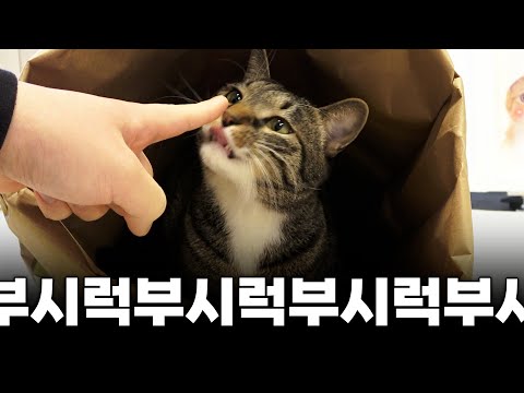 종이 포대가 진짜 위험한 이유