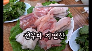 한번가면 무조건 단골되는 횟집! 밴댕이 먹으러 갔다가 인생 모듬횟집 만났습니다! 4만원 모듬회-민어,병어,농어,밴댕이,홍어(간재미),숭어,참돔~ [맛있겠다 Yummy]