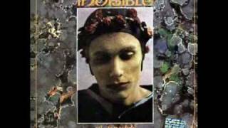 Invisible - Las golondrinas de plaza de mayo