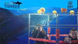 DIA 2 Expo Tiburon151