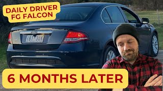 6 Months Daily Driving a FG Falcon – Honest Review