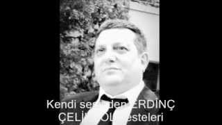 Gelincikler Çiçek açtı kırlarda.ERDİNÇ ÇELİKKOL