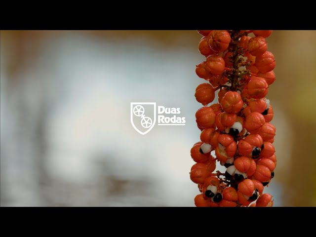 imagen-video-thefoodtech