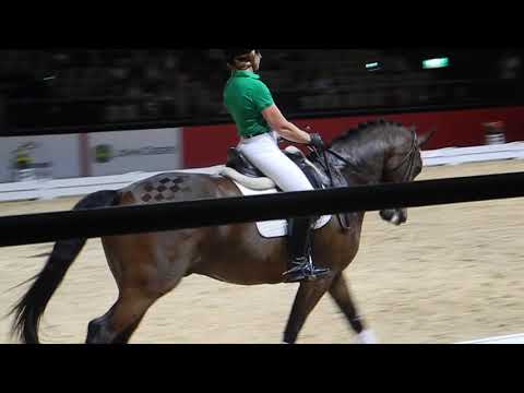 Carl Hester at Equitana 2013 Part 1