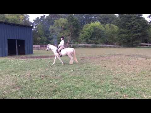 SCR Show 4 Class 1 W/T Hunter Cheyenne Robinson & Wonderley Pomp