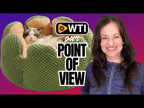 CWV Cute Cat Beds Kitten Beds - WTI product video review