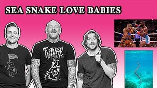 Sea Snake Love Babies