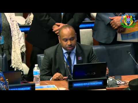 Statement of West Papua Melanesia (Kobe Oser & WPLO) in United Nations 21 April 2015