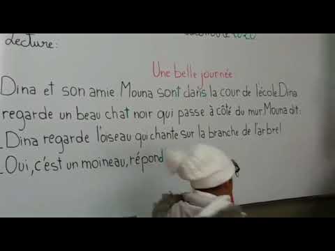 la lecture" une belle journée " coquelicot Cp