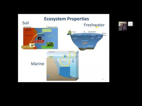 CAWS Seminar Series Apr 9th 2021 - Dolly Kothawala