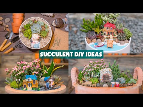 , title : '7 Succulent DIY Ideas| 7 Ý tưởng trang trí sen đá cực đẹp| 多肉植物| 다육이들 | Suculentas'