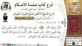 7 من 42/عمدة الأحكام/كتاب البيوع/نهى رسول الله عن بيع الثمار حتى تزهي/الشيخ صالح الفوزان image