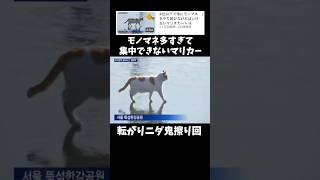 細かすぎて伝わらないネタw ↓元動画#shorts #きじむなーの実況 #マリオカート8dx  #モノマネ　#切り抜き #ゲーム実況