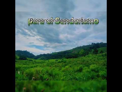 CÚPIRA, MUNICIPIO PEDRO GUAL