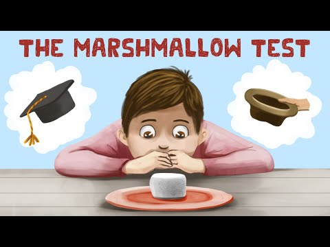 The Marshmallow Test (Stanford Experiment + Truth)